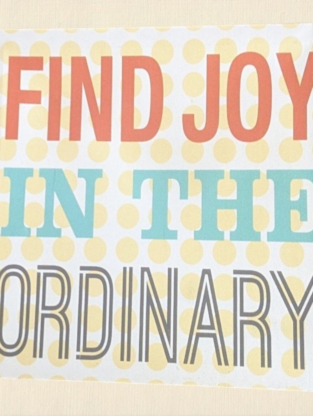 "Find Joy In The Ordinary" Canvas Hanging Wall Decor